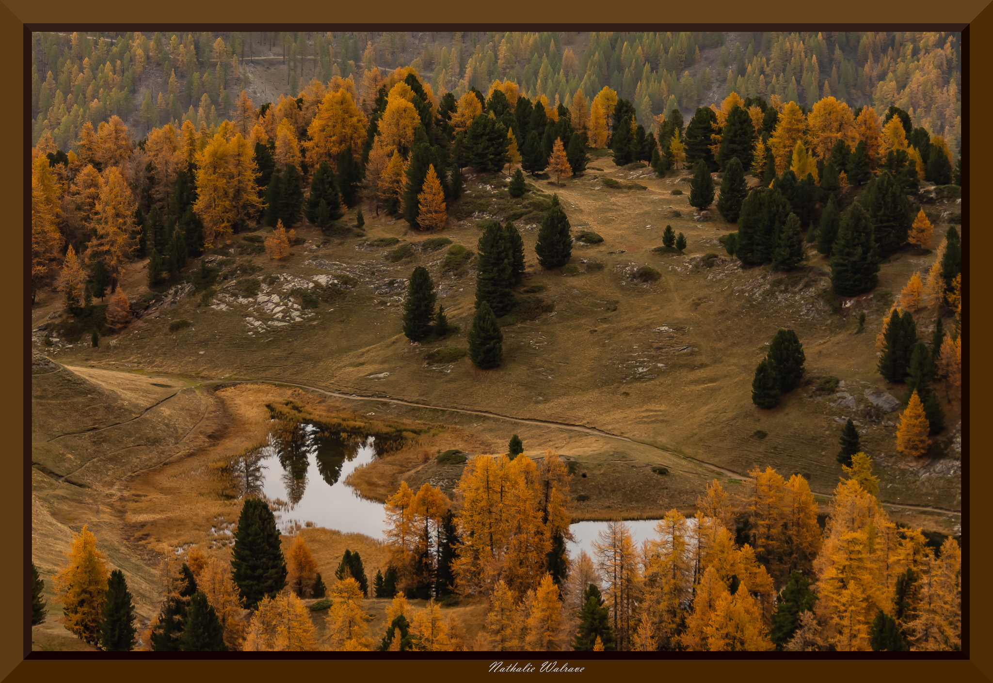 paysage au lac Miroir